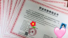 这个证书，硬核！