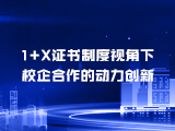 1+X证书制度视角下校企合作的动力创新