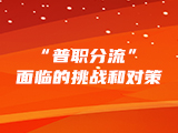“普职分流”面临的挑战和对策