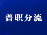 如何做好“普职分流”？专家称，要面临这6大挑战！值得深思！