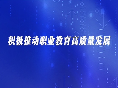 积极推动职业教育高质量发展