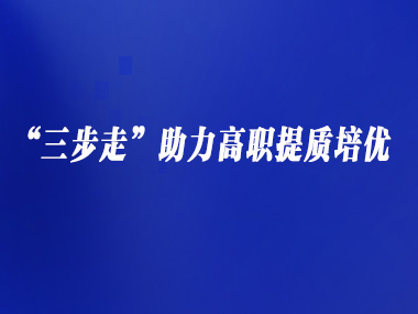 “三步走”助力高职提质培优
