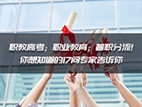 职教高考；职业教育；普职分流!你想知道的17问专家告诉你